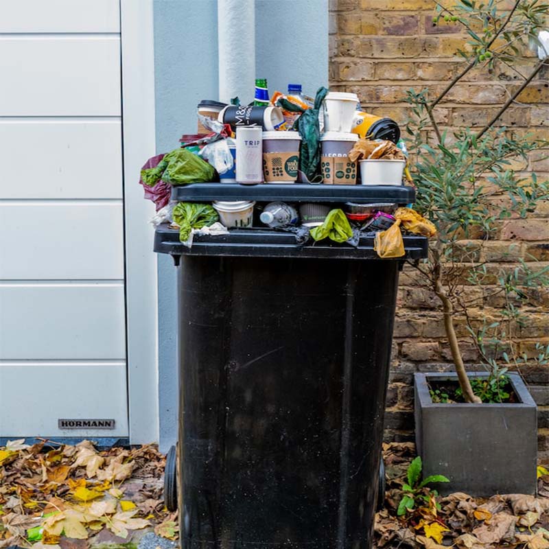 The Environmental Impact of Plastic Water Bottles: Exploring the Conse